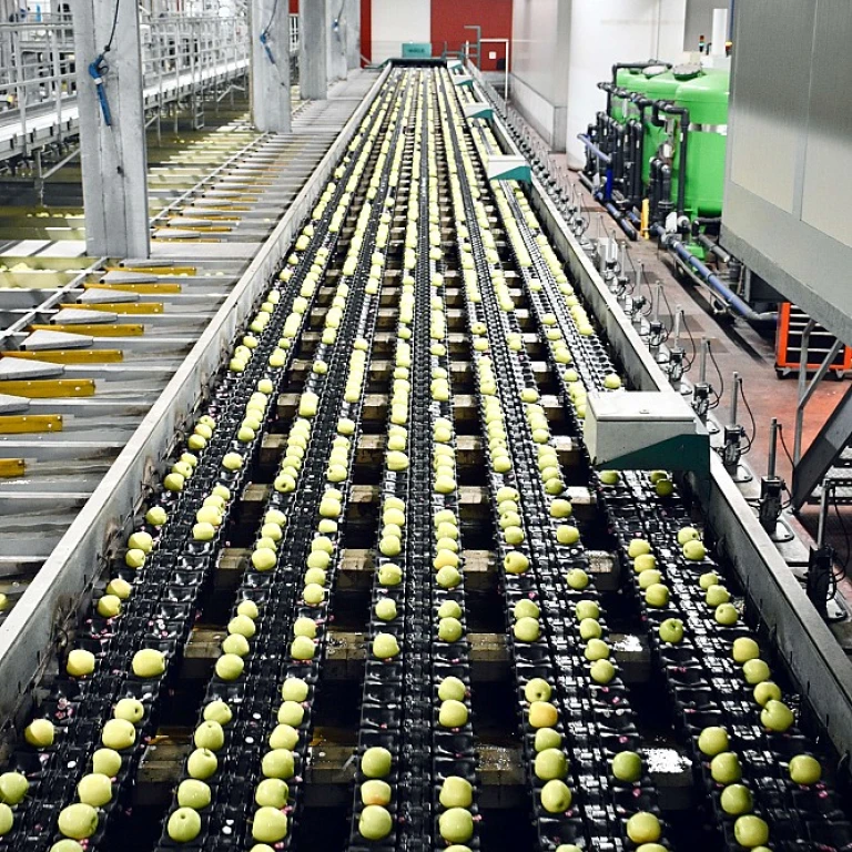 Explorer les opportunités de la casse automobile à Poitiers